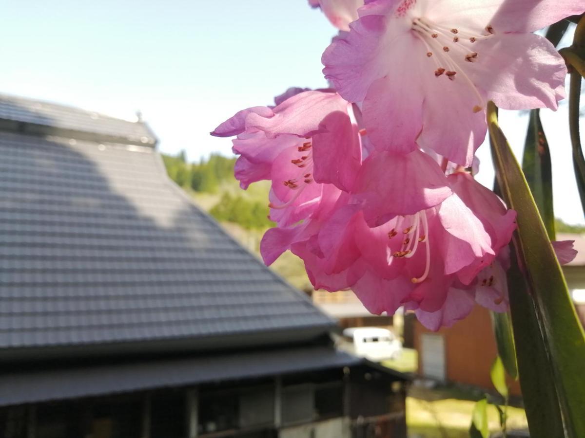 Hotel くつき鯖街道 古民家cocco小入谷 Takashima Exterior foto